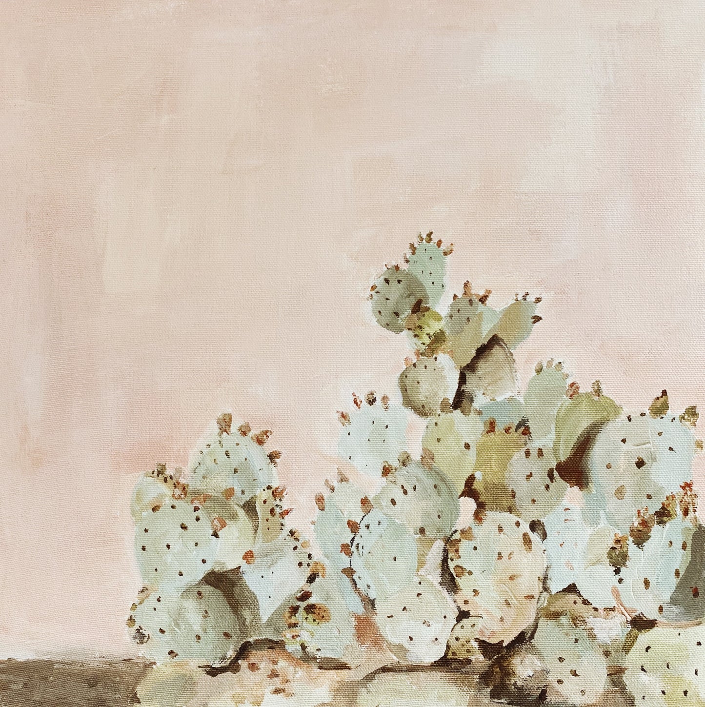 Prickly Pear